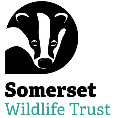 Online Shop | Somerset Wildlife Trust